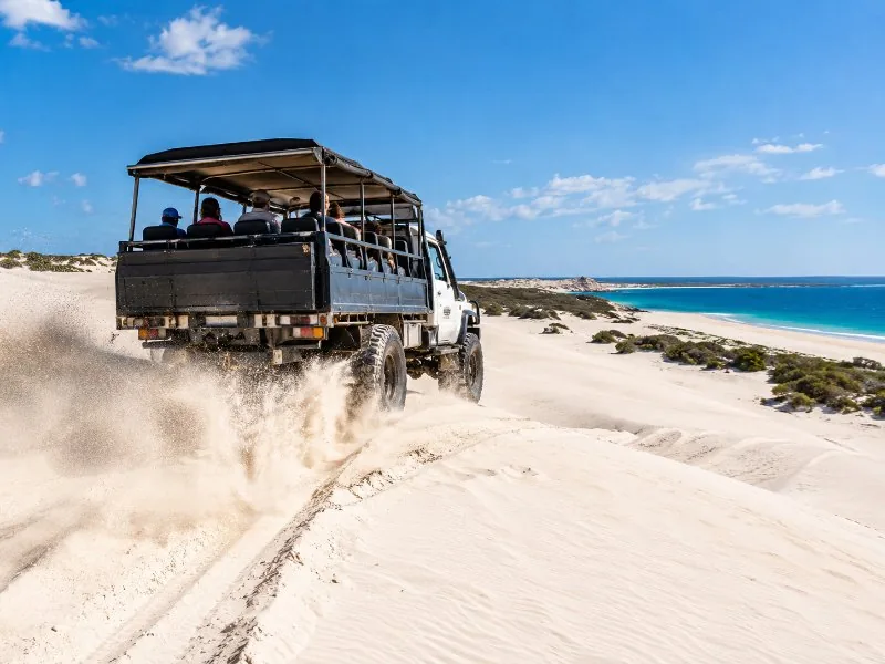 Pinnacles, Koalas, 4WD & Sandboarding